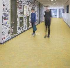 Forbo Marmoleum Decibel on Order 341335 green melody фото 2 | FLOORDEALER